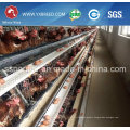 Chicken Layer Battery Cage for Farm